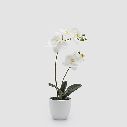 EDG Enzo De Gasperi Orchidea Phalaenopsis con Vaso e Foglie H 50 Cm Pianta Artificiale Bianco