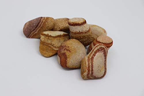 Aquagart Polierte Kieselsteine Dekosteine I Glanzkies Große Kieselsteine Flusskiesel Deko-Steine für Garten I Gartenteich Steine Teichkies Zierkies Gartenkies Ziersteine (20kg, Sandstein)