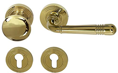 Häusler Onlinehandel GmbH Türbeschlag 1662 Helena R WE-Rechts Messing poliert PVD Türdrücker Türklinke Türgriffe