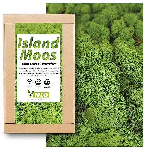 Moos zum Basteln - Island Moos - 100g Echtes Moos konserviert, Deko Moos Sets konserviertes Moos Ostern Deko islandmoos, moosbild, mooswand, Moos deko Terrarium Moss (Grün)