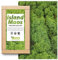 Moos zum Basteln - Island Moos - 100g Echtes Moos konserviert, Deko Moos Sets konserviertes Moos Ostern Deko islandmoos, moosbild, mooswand, Moos deko Terrarium Moss (Grün)