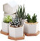 7WUNDERBAR SFXJ Green Plant, acrilico