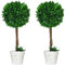 HOMCOM Set 2 Piante Finte Alberi di Bosso per Casa e Ufficio, Piante Artificiali da Interno ed Esterno con Vaso e Muschio Finto, Ø28x60cm, Verde