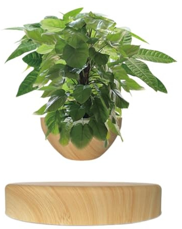 lluoqian moon light Maglev Schwebender Blumentopf, moderne minimalistische Wohndekoration & Geschäftsgeschenk for den Schreibtisch(Light colored wood)