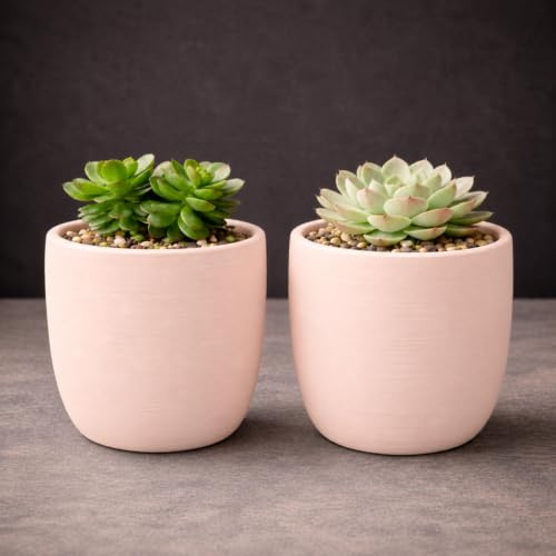 GardenSkill Indoor Plant Pot 10cm / 4, Clay Colour, 2pcs | Small Scandi Style Modern Planter + Drip Tray with Textured Matte Finish | Flowerpot for Succulents Herbs Cactus Houseplants