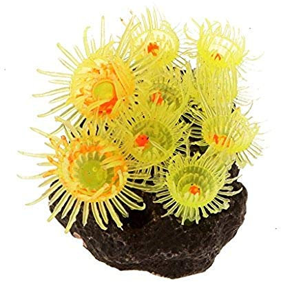Sconosciuto Anemone Marino dinamico pianta Ornamento Pieghevole Acquario Decorazione Artificiale AOD