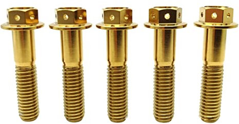 RISON Titanium Bolzen M8x1.25x40mm Titan Flansch Schrauben TC4 Titan Schrauben Sechskantschraube golden GR5 Titan Bolzen 5 Stück