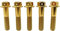 RISON Titanium Bolzen M8x1.25x40mm Titan Flansch Schrauben TC4 Titan Schrauben Sechskantschraube golden GR5 Titan Bolzen 5 Stück