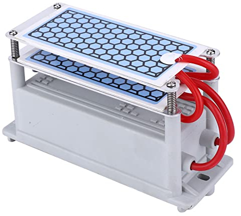 Generador de Ozono 220V 10G, Ozonizador Dispositivo de Ozono Limpieza Integrada Placas Cerámicas Limpiador de Olores, para Secadoras Refrigeradores Purificador de Aire Hogar (220V)