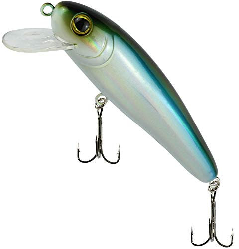 Fishing Tackle Max Unisex – Erwachsene 10C8900154C10 SEIKA Pr-Akita-Wobbler Farbe: Bleak Länge: 11,0cm Programm von FTM, Bunt, Normal