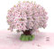 papercrush® DIN A4 XXL Pop-Up Karte Kirschblüten Baum - Extragroße 3D Geburtstagskarte mit Sakura Blüten für Ehefrau & Freundin, Glückwunschkarte für sie zum Jahrestag oder zur Geburt eines Mädchens