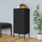 Lagerschrank Schwarz 42,5x35x101,5 cm Stahl, Garderobenschrank Büroschrank Aktenschrank Buffetschrank Geeignet für Schule Hotel Lagerraum Büro
