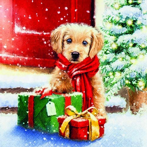 20 Servietten Hund an Geschenke | Tiere | Weihnachten 33x33cm