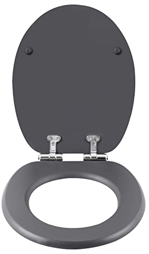 eSituro Toilettendeckel mit Absenkautomatik Holz, WC Sitz mit Quick-Release-Funktion für leichte Reinigung, einfache Montage, antibakterieller Toilettensitz Motiv, MDF,Anthrazit