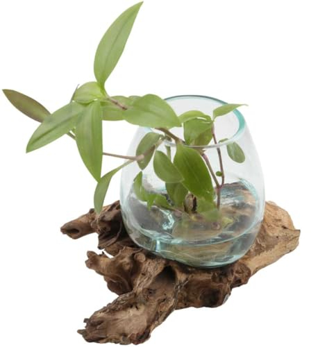 A12 Vase en verre recyclé et racine de teck fait à la main - Diamètre : 12 cm - Hauteur : 14 cm
