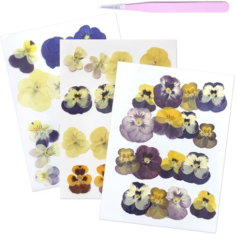 48 Stück Trockenblumen Set Mit Pinzette, Getrocknete Blumen, für den Alltag | Bunte Getrocknete Blumen Und Gepresste Blumen Für DIY Basteln, Dried Flowers Für Seife Kerzen Scrapbooking Kuche Dekoration.