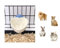 Choco Nose Patented Removable Heart Shaped Food Bowl for Dogs/Puppies/Rabbits/Cats/Guinea Pigs/Chinchillas/Birds -Water Dish for Small Pets or Animals - For Wire Cages or Crates 8 oz, Blue (C607)