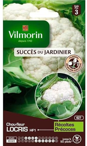Vilmorin - Sachet de graines Chou Fleur LOCRIS HF1 - Création Vilmorin