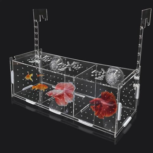 Ablaichkasten Aquarium, Acryl Fischzuchtbox, Anemone Box Fisch Züchter, Laichkasten für Aquarium mit Saugnäpfen, Hochtransparente Fischbecken für Zucht, Isolierung und Fütterung