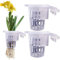 Puerta De Acuario - 2pcs Copa Acuática | Cazuela Transparente De Pescado Con Agujeros, Porta-Hidroponía, Contenedor De Agua Para Cultivo Acuático