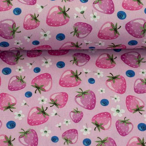 Baumwollstoff Früchte – Orangen, Kirschen, Erdbeeren – 5 fruchtige Designs – 100% Baumwolle – Ökotex zertifiziert – Meterware ab 50 cm – Stoff für Kleidung & Deko (Erdbeeren, Blüten, flieder)