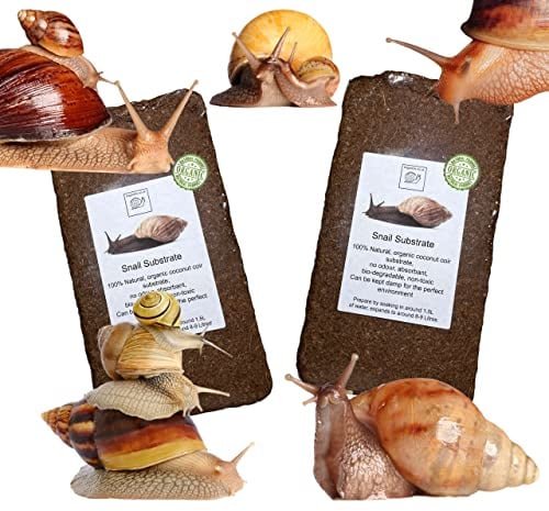 bugznbits Coco Substrate, Coco fiber Substrate, coir block (2 x 8-9L blocks)