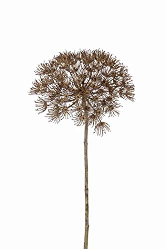 artplants.de Künstliche Bärenklau Dolde ANSARI, braun, 80cm, Ø 22cm - Künstliche Blume - Seidenblumen