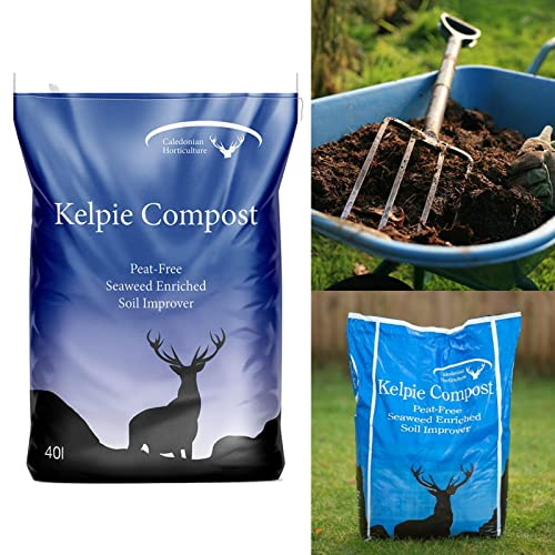Carbeth Plants Kelpie Compost' Peat Free Seaweed Enriched Compost 40L Bag | Produced Environmentally Friendly by Caledonian Horticulture - Ideal for Adding Nutrients and Boosting Plant Growth