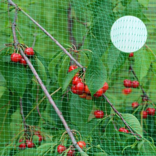 Vogelschutznetz 4x12m, Vogelnetz Engmaschig, Taubennetz Balkon,Löcher 2x2cm | Hühnernetz, Pflanzennetz, Teichnetz, Vogelschutznetz Engmaschig, Gartennetz Obstbaumnetz für Teich, Balkon, Erdbeer, Grün
