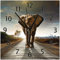 Wallario Design-Wanduhr Elefant bei Sonnenaufgang in Afrika aus Glas, Motiv-Uhr Größe 30 x 30 cm, Schwarze Zeiger