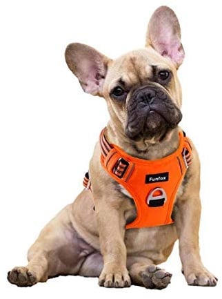 Funfox Hundegeschirr Kleine Hunde [S] - Anti Zug Welpengeschirr mit Griff & Ringreflektoren, Atmungsaktives Verstellbares No Pull Brustgeschirr für Kleine/Mittelgroße Hunde Outdoor Orange
