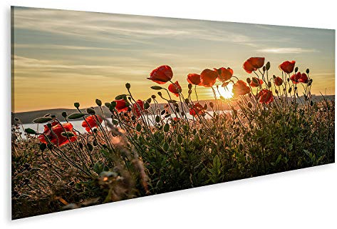islandburner Prime Bild auf Leinwand Rote Mohnblumen Sonne untergehend hinter über Mönchgut Ostseeinsel Rügen Wandbild Poster Leinwandbild