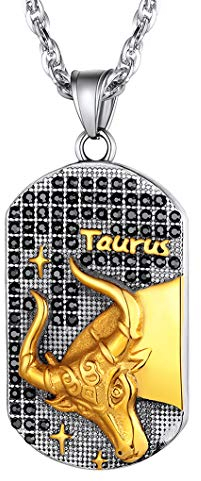 Richsteel Edelstahl Sternzeichen Stier Halskette Dog Tag Anhänger Herre Halskette mit Geschenkebox für Männer Jungen