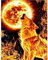MXJSUA 5D-Diamant-Malset, DIY Diamond Painting, komplettes Diamant-Malset für Erwachsene, Voll-Diamantmalerei, Diamantmalerei, Wölfe, Diamond Painting, 30 x 40 cm, Wolf