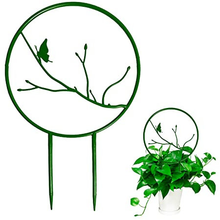 AYAROS 4 x Topfpflanzen-Kletterspalier, 37 x 22,5 cm, rundes Rankgitter mit Gänseblümchen-Design, Metall-Ranken, Pflanzenstützung, Rankhilfe für Innenbereich, Topfpflanzen, Zimmerpflanze