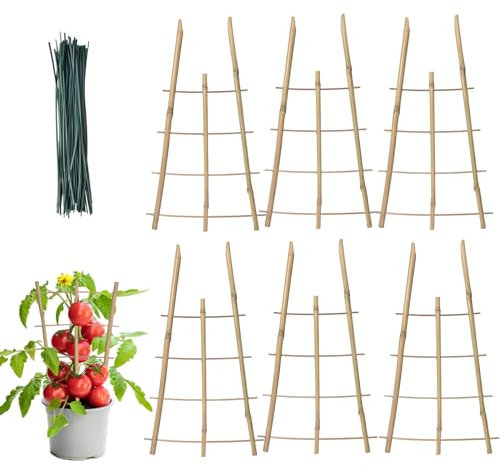 NASSMOSSE Treillis pour plantes grimpantes en plein air, treillis de jardin en bambou naturel, treillis flexible pour plantes en pot d'intérieur, légumes, fleurs