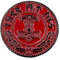 Patch Nation Thor's Martello Mjolnir Nordica Vichingo Metallo Spilla Distintivo Pin Badge (Rosso)