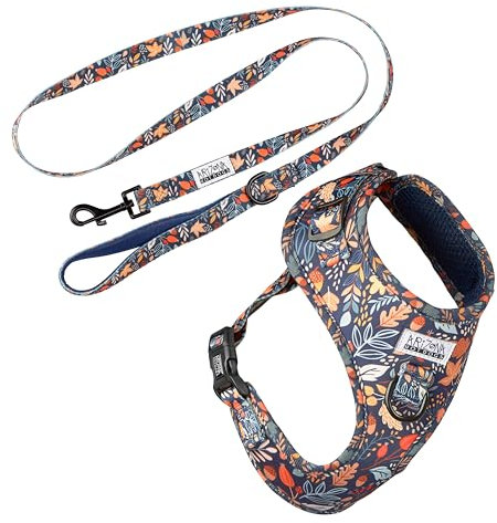 Hundegeschirr mit Leine für kleine Hunde | Arizona Hotdogs Softgeschirr Fall in Love | Buntes Blattmuster (XS)