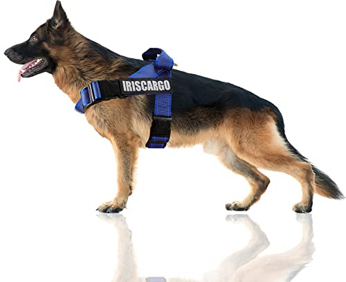 No Pull Dog Harness, dogs harness with Handle Adjustable Padded Harness with Reflective Stitching Ensure Night Visibility Easy Control for Outdoor Training Walking (M - Blue)