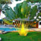 Semi di Albero di Cycas, 20Pcs Rare Piante perenni Tropicali Fan Palms Cycas Tree Seeds Garden Yard Decor Semi di Palma 20 Pezzi