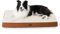 BEDSURE Lit orthopédique pour chiens, 91 x 69 x 7,6 cm, avec coussin moelleux lavable, gris, pour chiens de petite, moyenne et grande taille (marron argile)