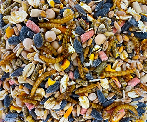 UGF - Vogelfutter Wildvögel Ganzjährig 800g, Wildvögelfutter mit Sonnenblumenkerne, Mehlwürmer und Neun Weiteren Zutaten, Eine Einzigartige Kombination von Zutaten für die Ganzjährige Fütterung