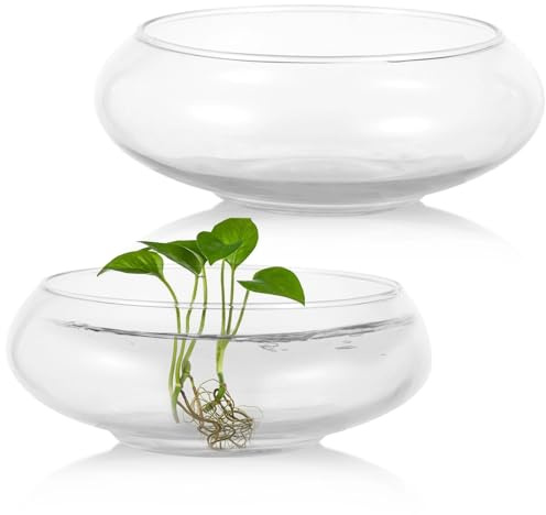 Runde Glasvasenschüssel, 15,2 cm / 20,3 cm breite Öffnung, runde Glasschalen, Sukkulenten-Pflanzgefäße, Aquarium, Blasenvasen, Blumendekor, Blumentöpfe für Heimdekoration (2 Stück)