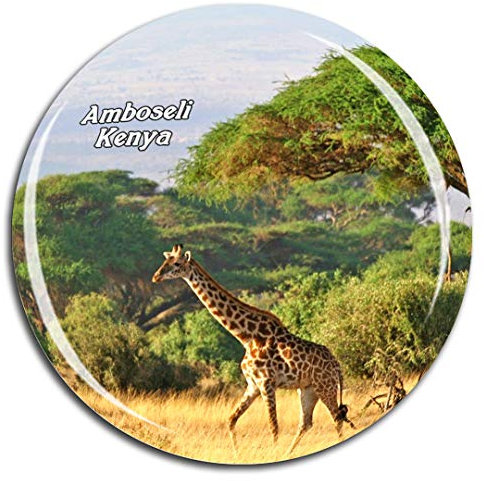 Weekino Ambosele Nation Park Amboseli Kenya Fridge Magnet 3D Crystal Glass Tourist City Travel Souvenir Collection Gift Strong Refrigerator Sticker