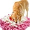 IEUUMLER Hundematte Snuffle Mat Erziehungsmatte für Hunde Dog Puzzle Toys IE075 (45 x 45 cm, Rosa & Weiß 1)