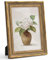 Afuly A4 Vintage Picture Frames 21 x 29.7cm Antique Elegant Wood Gold Photo Frame with Wall Mount Desk Home Decor Display Family Friends Birthday Festival Gifts for Mom Grandma Women