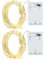Annefly 2PACK 2m Lichterkette mit Timer 20 LEDs kleine Batterie wasserdicht batteriebetrieben Innen für Party, Weihnachten, Halloween, Hochzeit, tolle Schlafzimmer Deko (Warmweiß) (2m 2p)
