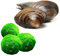 vdvelde.com - Teichmuscheln für Gartenteich Winterhart 10 Stück + Mooskugeln 10 Stück - Filternde Muscheln - Teichmuschel Set Gegen Algen und hält den Teich sauber und klar