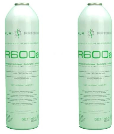 REPORSHOP - 2 Bouteilles De Gaz Réfrigérant R600A 420Gr Isobutane Freeze