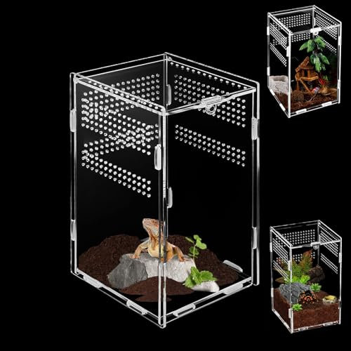 Acryl Terrarium (20cm*12cm*10cm) - Mini Fütterungsbox für Springspinnen, Schnecken, Eidechsen, Käfer und Andere Reptilien